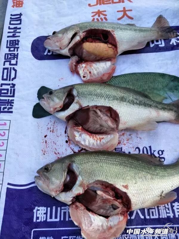 ϲӍ�B�B���Ĵ������|15Ԫ/����K�q0.5Ԫ���ܴ���������ؼs