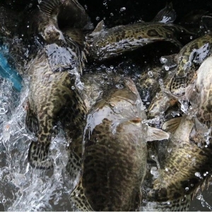 ���~�����ů�����п��ã����Գ��~����2018��4��26���Z�~�r������