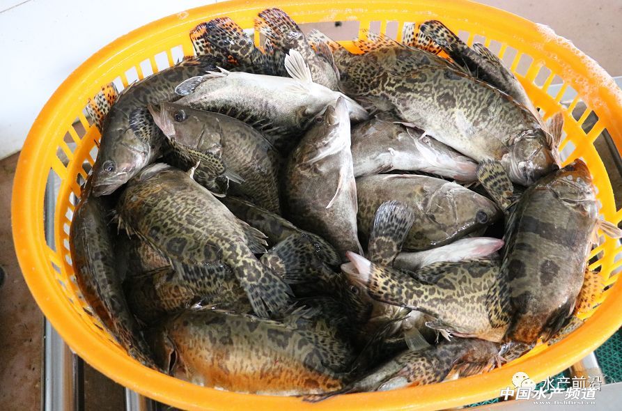 �V�|�Z�~�ϝq0.5Ԫ/���ȥ��ͬ�ڸ�7Ԫ/����������ո��q1Ԫ/����