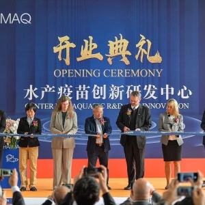 ȫ���׼���I�I�~�^50�|��Ԫ�Ąӱ���I�M܊�Ї�ˮ�a����