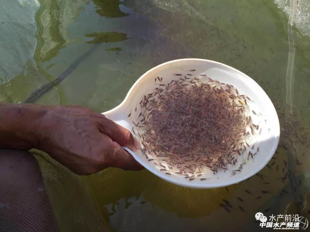 �����ã������r�_30Ԫ/�Խ��Խ���Bֳ���D�B�@�l��ˮ�~