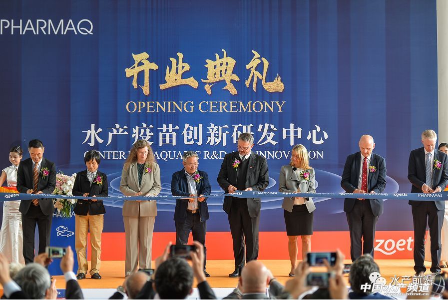 2017���u��53�|��Ԫ��ȫ���I�Ȅӱ���I�M܊�Ї�ˮ�a��ͻ���c���@��