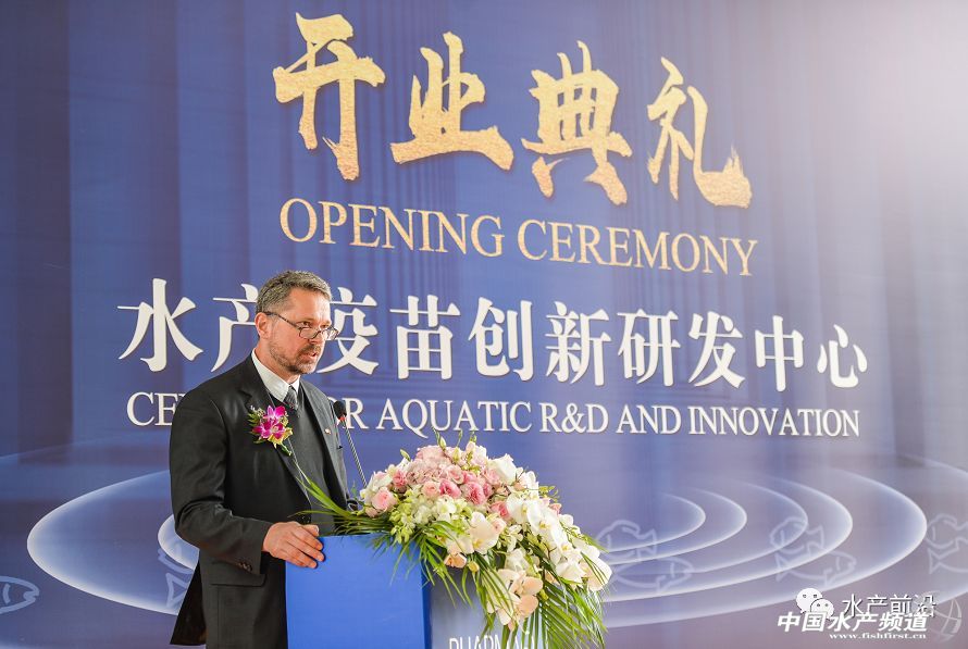 2017���u��53�|��Ԫ��ȫ���I�Ȅӱ���I�M܊�Ї�ˮ�a��ͻ���c���@��