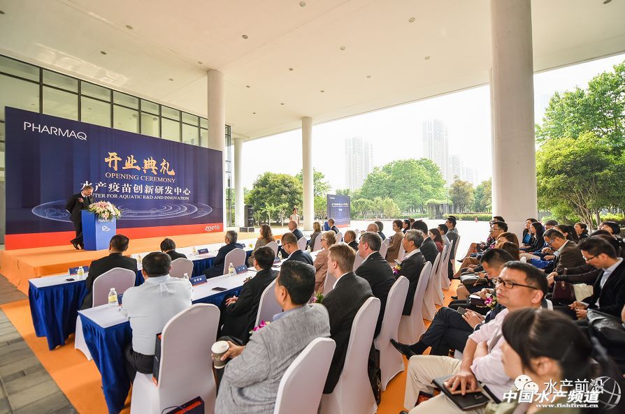 2017���u��53�|��Ԫ��ȫ���I�Ȅӱ���I�M܊�Ї�ˮ�a��ͻ���c���@��