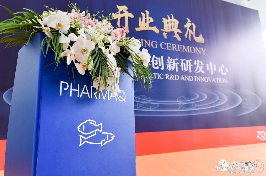 2017���u��53�|��Ԫ��ȫ���I�Ȅӱ���I�M܊�Ї�ˮ�a��ͻ���c���@��