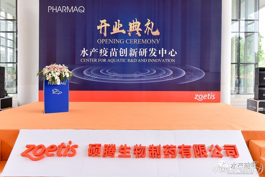 2017���u��53�|��Ԫ��ȫ���I�Ȅӱ���I�M܊�Ї�ˮ�a��ͻ���c���@��