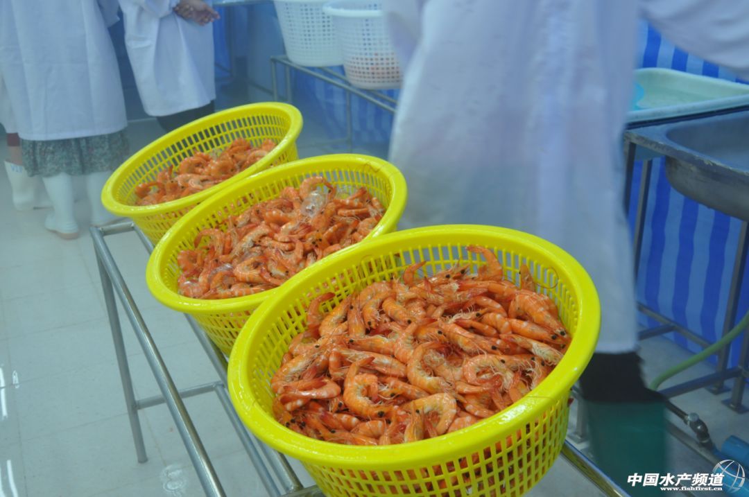 ����տ�����r�YԴ���Ї����Hˮ�a���[���|�ρ�·�������Ļ��6��18�գ���s����տ����