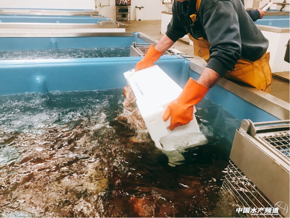 ���N�ԼҺ��r���۠��m�l���Ї��Ј��ˣ���Ո�Ї���I���؅��^���c��30��Դ�^���a��Iһ��һ��Մ��