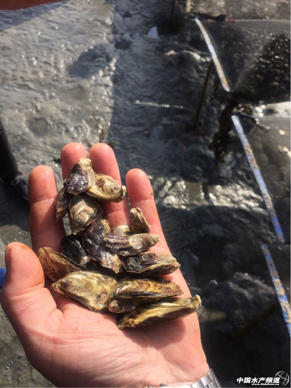 ���N�ԼҺ��r���۠��m�l���Ї��Ј��ˣ���Ո�Ї���I���؅��^���c��30��Դ�^���a��Iһ��һ��Մ��