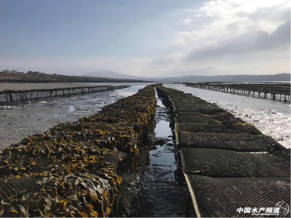 ���N�ԼҺ��r���۠��m�l���Ї��Ј��ˣ���Ո�Ї���I���؅��^���c��30��Դ�^���a��Iһ��һ��Մ��