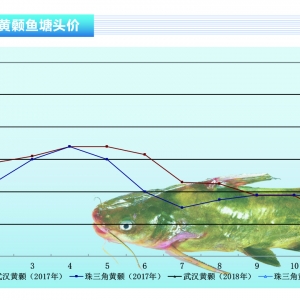 �S��~���V�|���麣���ɶ����س��m�ϝq����ˮ�aǰ�ء�2018��3�¿��Ј�څ��