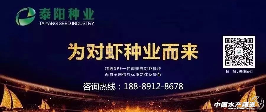 �r�硢�����������B(y��ng)ֳϵ�y(t��ng)��������˵��B(y��ng)ֳ���@Щ���}���̎����