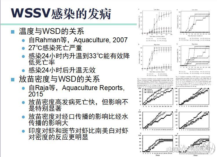 �r�硢�����������B(y��ng)ֳϵ�y(t��ng)��������˵��B(y��ng)ֳ���@Щ���}���̎����