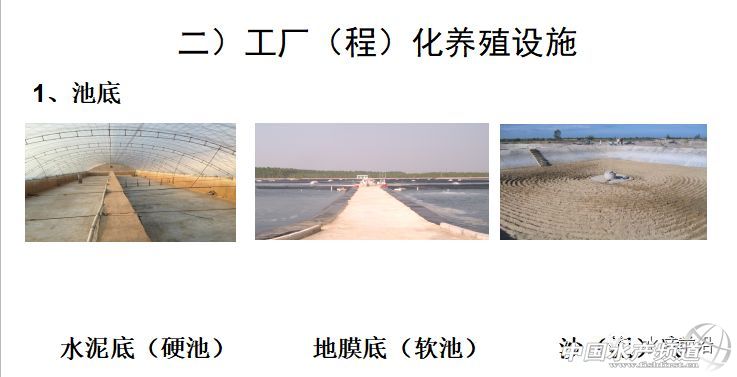 �r�硢�����������B(y��ng)ֳϵ�y(t��ng)��������˵��B(y��ng)ֳ���@Щ���}���̎����