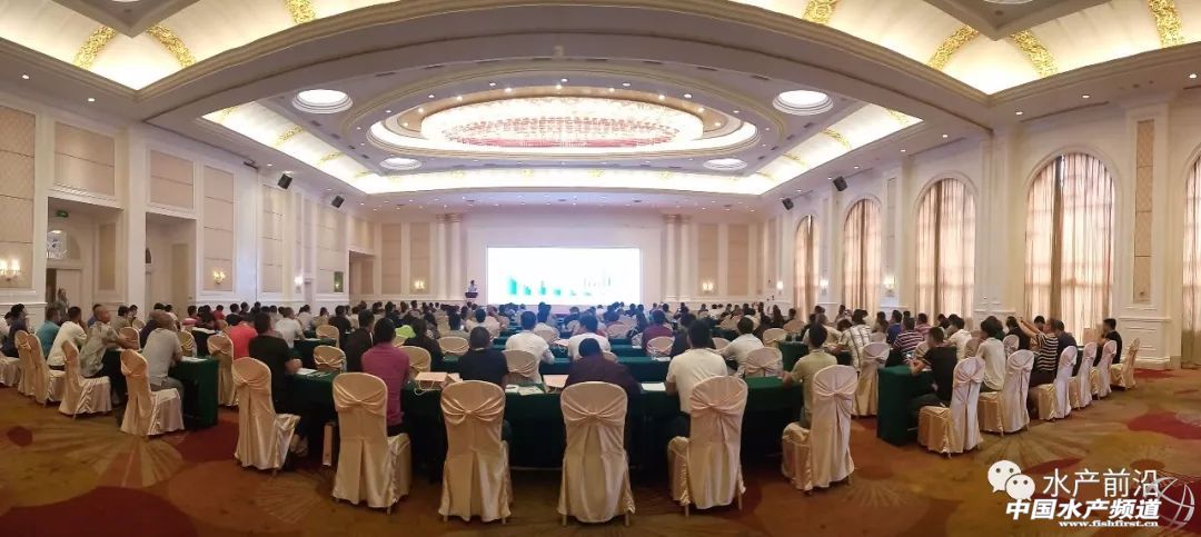 �r�硢�����������B(y��ng)ֳϵ�y(t��ng)��������˵��B(y��ng)ֳ���@Щ���}���̎����