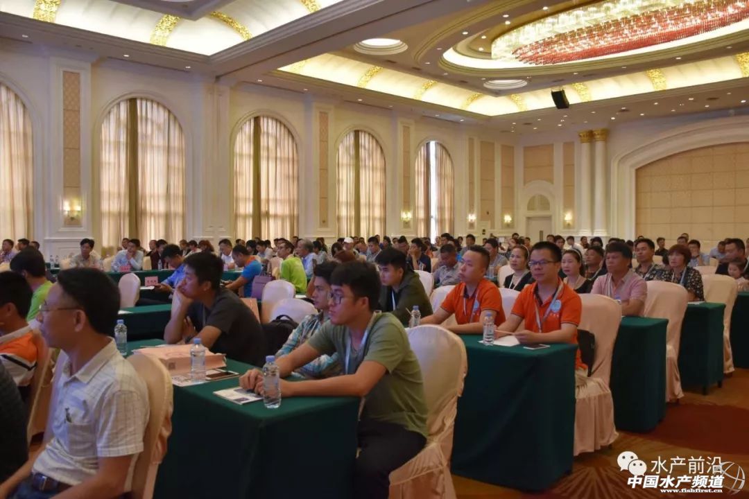 �r�硢�����������B(y��ng)ֳϵ�y(t��ng)��������˵��B(y��ng)ֳ���@Щ���}���̎����