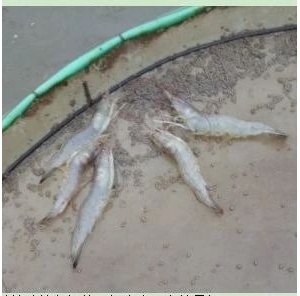 �����B�r����@�������r���u�F��2�K/��