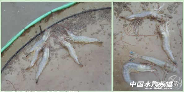 ���궬�Ͷι�@�N��ϣ��r���u�F��2�K/�ԭ����......