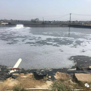 �K���l���ʸ��_8�������������rȫ�桰���P��