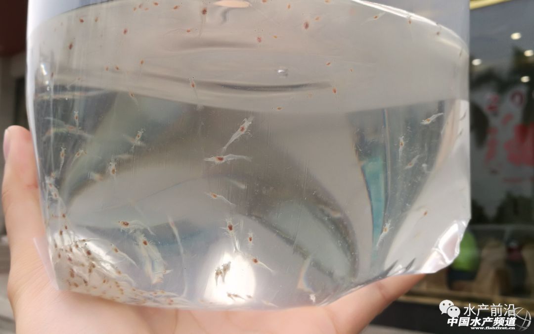 �y����Ӣ���������H4�꣬��H35�q�ƹ����N��60�|β������߀�f���Ժ��B�r��Խ��Խ���B