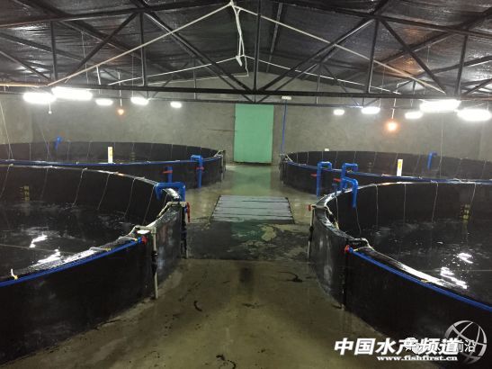 �y����Ӣ�ۣ������H4������H35�q�ƹ����N��60�|β��������߀�f���Ժ��B�r��Խ��Խ���B