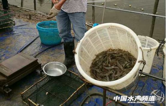 �y����Ӣ���������H4������H35�q�ƹ����N��60�|β��������߀�f���Ժ��B�r��Խ��Խ���B