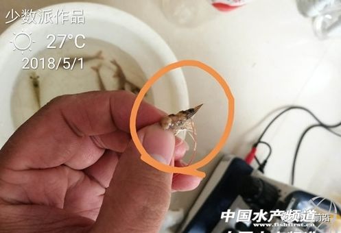 �װ߲������ھ����؁�������׌��r�Bֳ�΄ݲ��ݘ��^