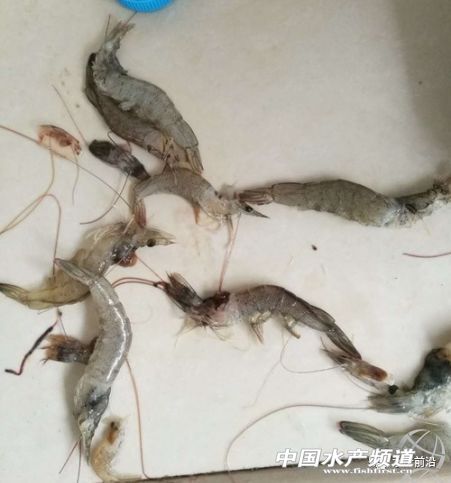 �װ߲������ھ����؁�������׌��r�Bֳ�΄ݲ��ݘ��^