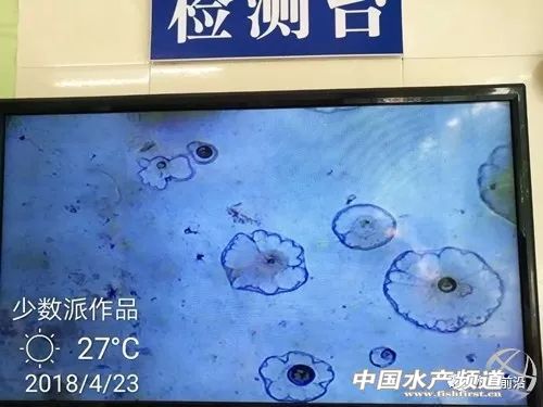 �װ߲������ھ����؁�������׌��r�Bֳ�΄ݲ��ݘ��^