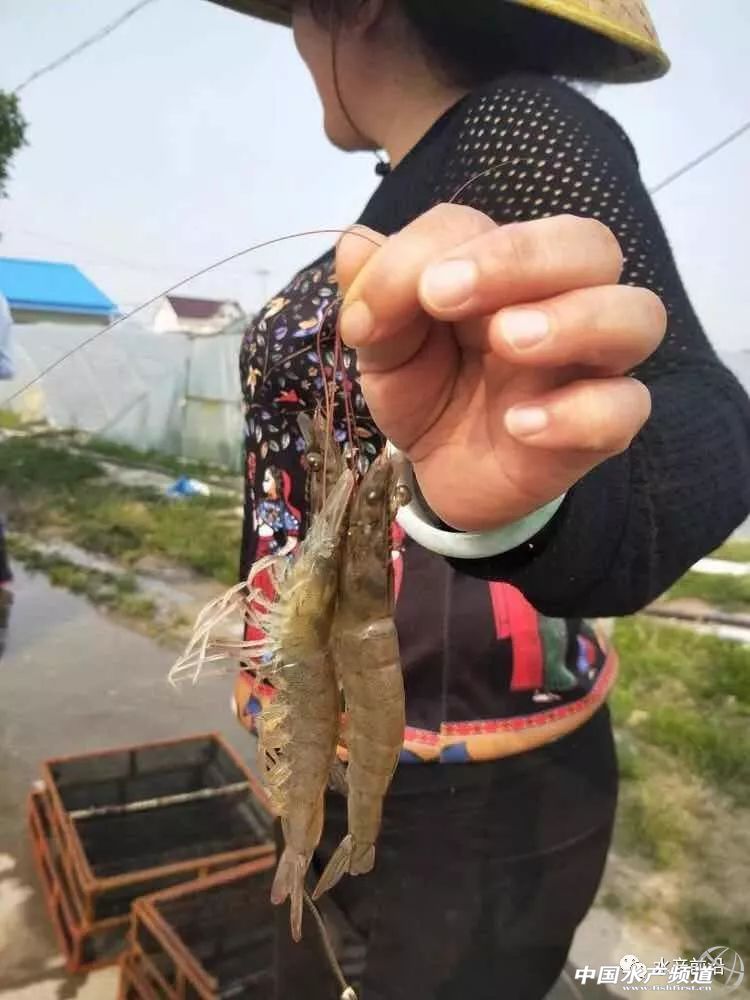 ���O���_�������ش��rӭ��(ji��)���ո߃r(ji��)���������@��s����15Ԫ