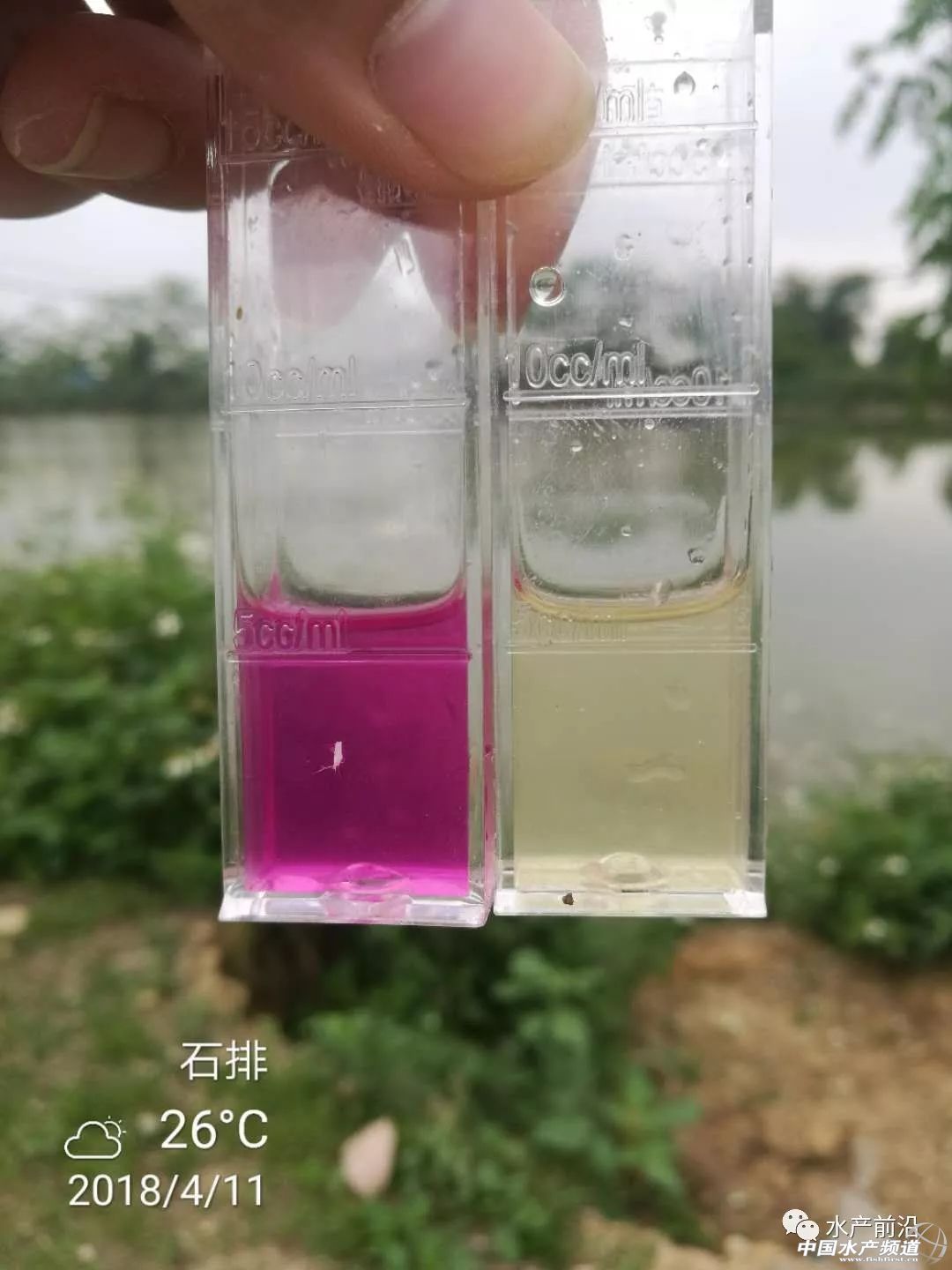 ������؛���������}�������׷���������鲻֪���@Щԭ����