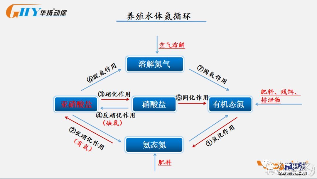 ������؛���������}�������׷���������鲻֪���@Щԭ��