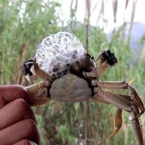 ��зһ����ɻ��ʵ���������֪��ԭ����