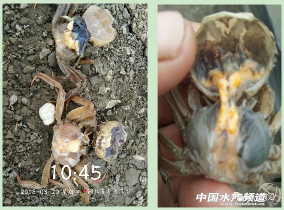 �ֵ��l���߷��ڣ���зһ�����ڴ���������������֪��ԭ��