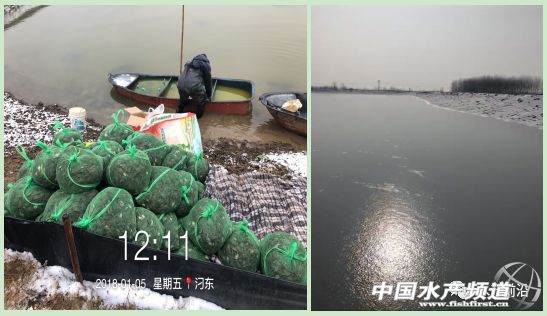 �ֵ��l���߷��ڣ���зһ�����ڴ���������������֪��ԭ��