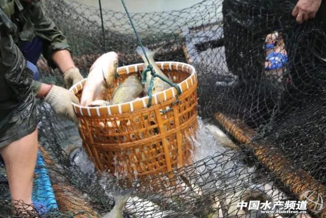 ͬ���M���ݝO�ڣ�5���𲻹��Ǻ�����O��ǧ�u��ȫ���ڃȵ��@Щ��������Ҳ���ܲ���