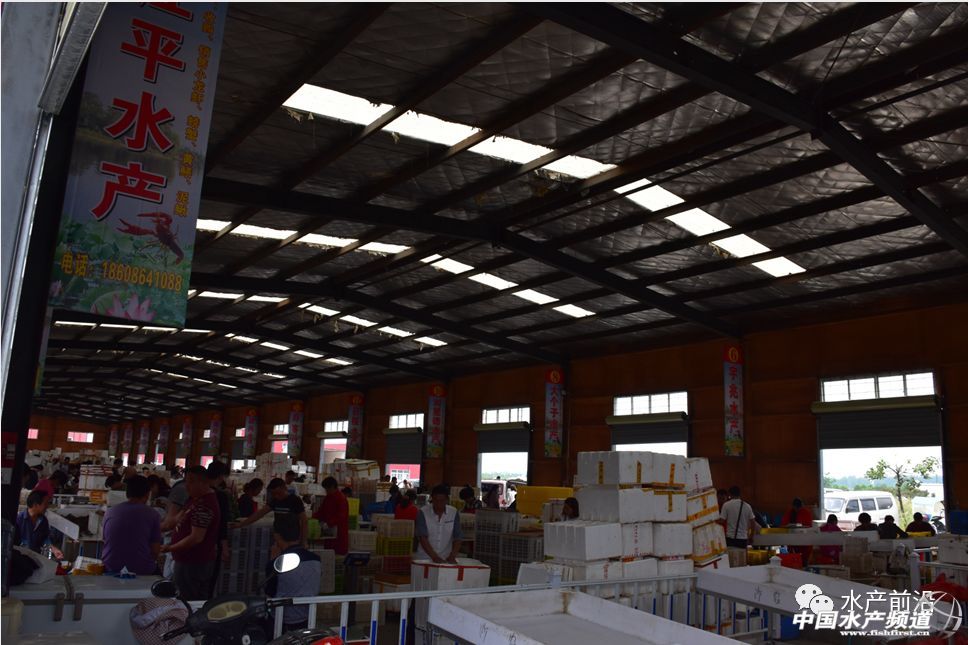 �����桱�������M(j��n)�������������߮a(ch��n)���@�����t���a(ch��n)�I(y��)��(d��ng)��t�t���