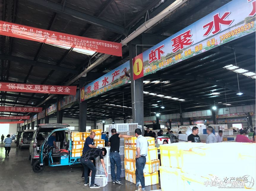 �����桱�������M(j��n)�������������߮a(ch��n)���@�����t���a(ch��n)�I(y��)��(d��ng)��t�t���