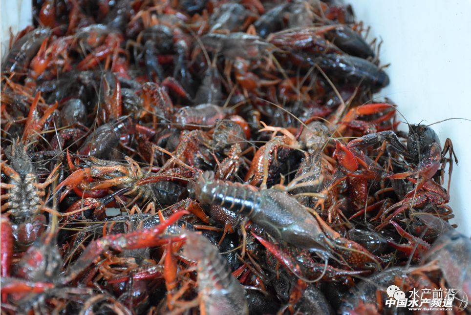 �����桱�������M(j��n)�������������߮a(ch��n)���@�����t���a(ch��n)�I(y��)��(d��ng)��t�t���