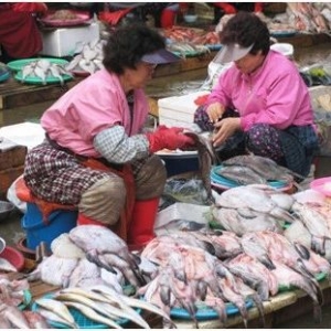 ˮ�aƷ��ȫ�����ʳ�ﵰ���|�ĵ������Դ