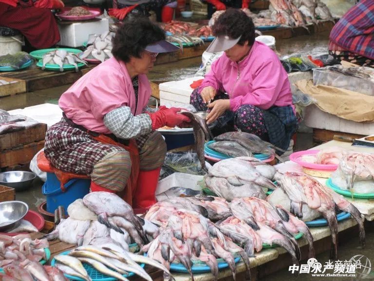 �����ˮ�a(ch��n)�ИI(y��)��ˮ�a(ch��n)Ʒ��ȫ�����ʳ�ﵰ���|(zh��)�ĵ������Դ