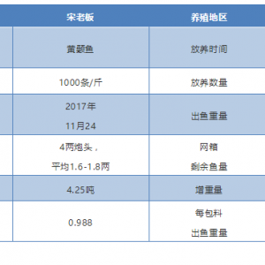 �W���Bֳ�S��~��������D��ϵ������1.0��