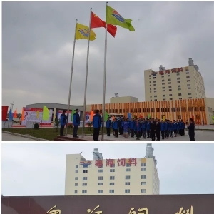 ��ʯ܎��Ͷ�Y2.4�|�Ľ��K��������Щ�ڴ���