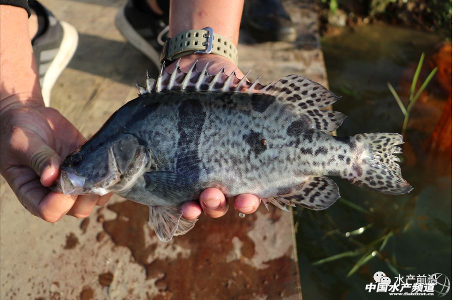 �@�ˣ�һ�l�Z�~(y��)�a(ch��n)�Ѻ����u6Ԫ��С����~(y��)�r(ji��)���30%���Z�~(y��)���25%��