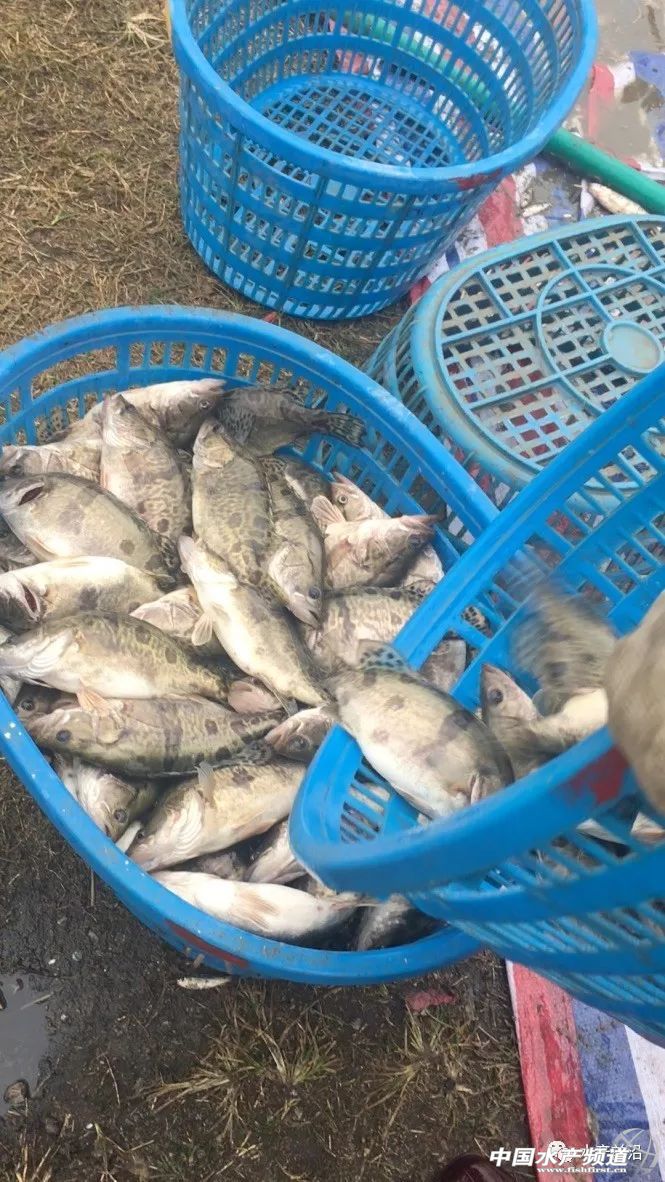 �@����һ�l�Z�~(y��)�a(ch��n)�Ѻ����u6Ԫ��С����~(y��)�r(ji��)���30%���Z�~(y��)���25%��