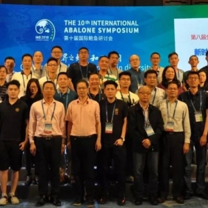 ռȫ��a����87%�������U�~���Ї���