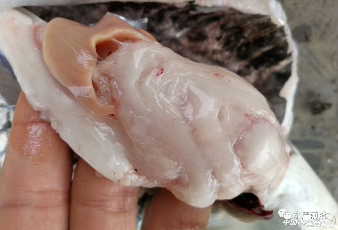 �ߣ�ÿ�����~400���l�����@һ�У�10�����͌����~��������