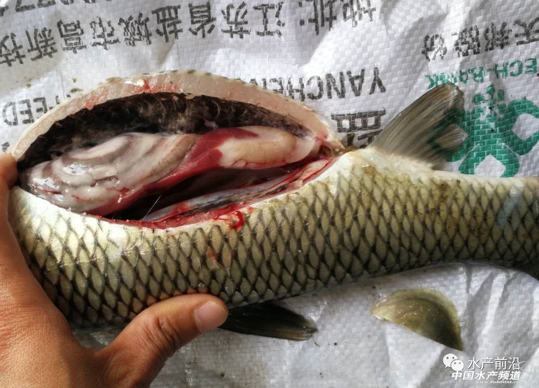 �ߣ�ÿ�����~400���l�����@һ�У�10�����͌����~��������