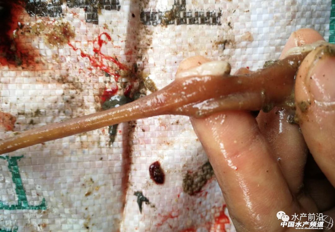 �ߣ�ÿ�����~400���l�����@һ�У�10�����͌����~��������