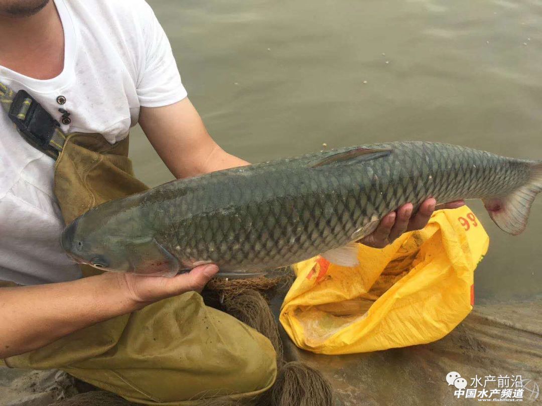 ������Ϣ����W(w��ng)��Y�������~�r���������F(xi��n)������